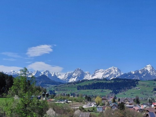 Holiday apartment - 3 persons -  - Pyhrnstraße - 4580 - Windischgarsten