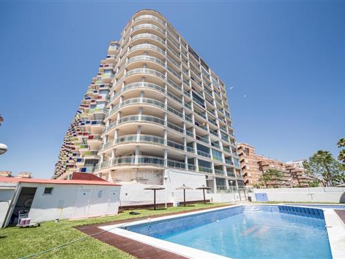 Holiday apartment - 4 persons -  - Carrer de la Pina - 12594 - Oropesa Del Mar