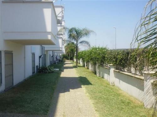 Ferieleilighet - 5 personer -  - Lido Marini - 73059