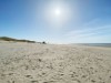 Bild 21