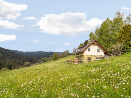 Sommerhus - 6 personer -  - 9433 - Sankt Andrä