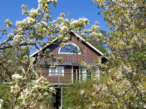 Holiday home - 7 persons -  - Långrådna Mon - 61592 - Valdemarsvik