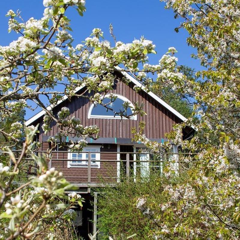 Sommerhus - 7 personer -  - Långrådna Mon - 61592 - Valdemarsvik