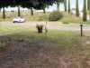 Billede 6