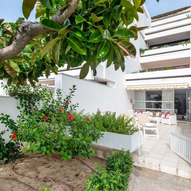 Ferielejlighed - 4 personer -  - 07400 - Port D'alcúdia, Illes Balears