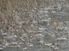 Bild 20