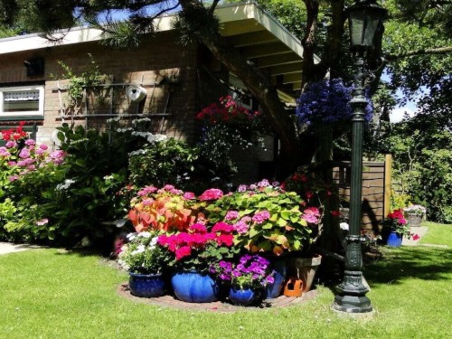 Ferienhaus - 2 Personen -  - 1759 GC - Callantsoog