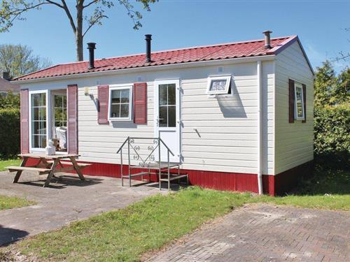 Holiday home - 4 persons -  - Vogels' Tún - 8851 HT - Tzummarum