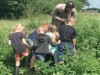 Bild 15