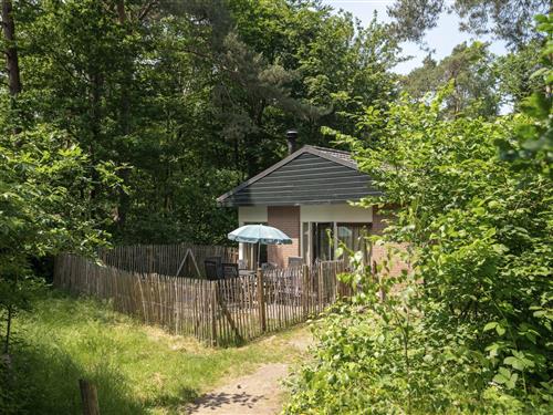 Holiday Home/Apartment - 6 persons -  - Hoge Bergweg - 7361 GS - Beekbergen