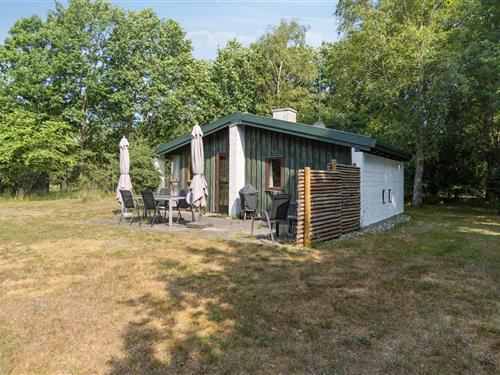 Ferienhaus - 4 Personen -  - Bøgevej - Læsø, Vesterø Syd - 9940 - Läsö