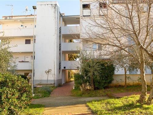 Semesterhus/Semesterlägenhet - 2 personer -  - Pinjola - 52440 - Cervar - Porec