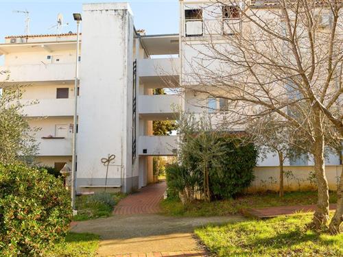 Vakantie appartement - 2 personen -  - Pinjola - 52440 - Cervar - Porec