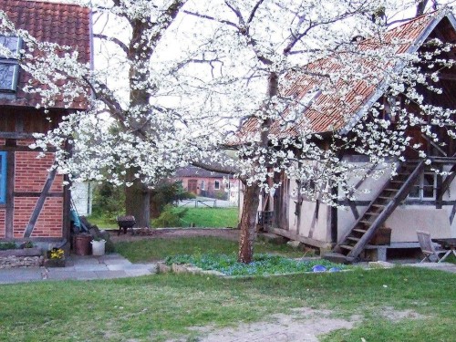 Holiday home - 5 persons -  - 29556 - Hösseringen