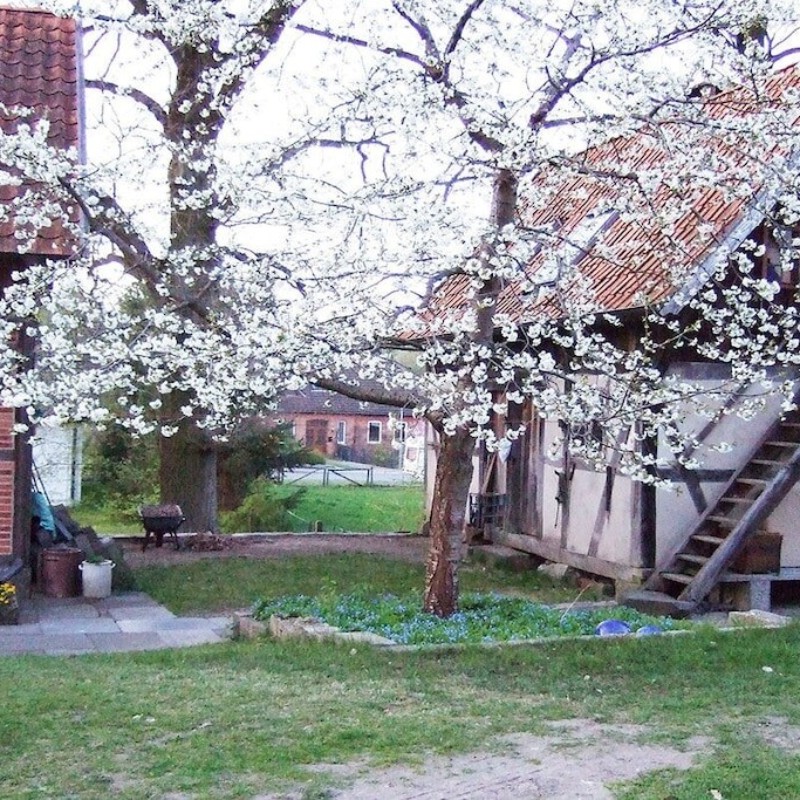 Sommerhus - 5 personer -  - 29556 - Hösseringen
