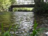 Image 16