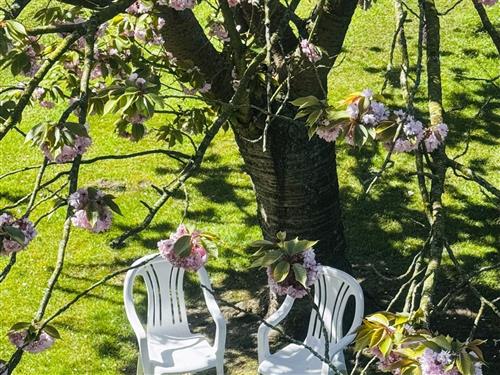 Ferieleilighet - 2 personer -  - Geniusbankstraße - 26388 - Wilhelmshaven