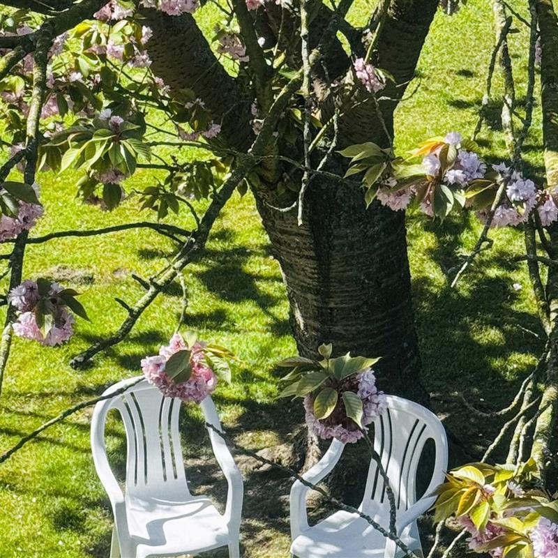 Ferielejlighed - 2 personer -  - Geniusbankstraße - 26388 - Wilhelmshaven