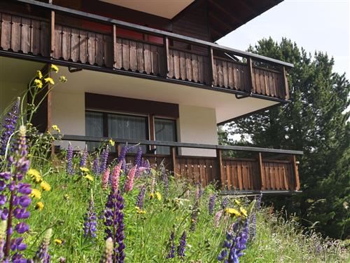 Sommerhus - 4 personer -  - Hörnlistrasse - 7050 - Arosa