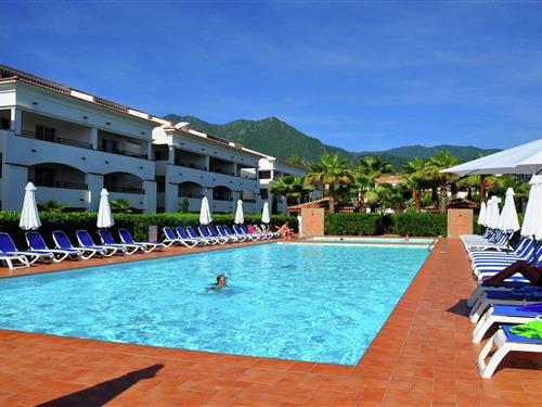 Ferielejlighed - 4 personer -  - 20230 - San Nicolao