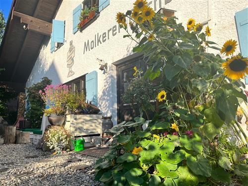 Ferielejlighed - 12 personer -  - Füssener Straße - 86975 - Bernbeuren