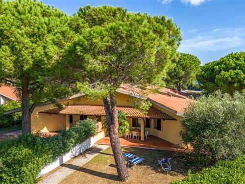Ferieleilighet - 7 personer -  - Strada Vicinale del Pino - 58015 - Orbetello