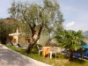 Image 26 - Outside
