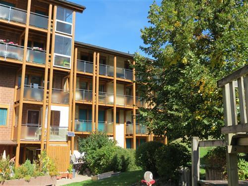 Holiday apartment - 2 persons -  - Oberegg - 3984 - Fiesch