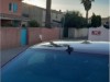 Billede 6