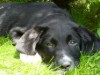 Bild 22
