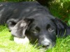 Bild 22