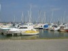 Billede 12