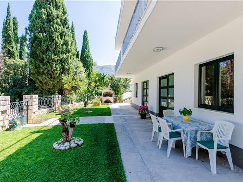 Holiday apartment - 2 persons -  - 20210 - Cavtat