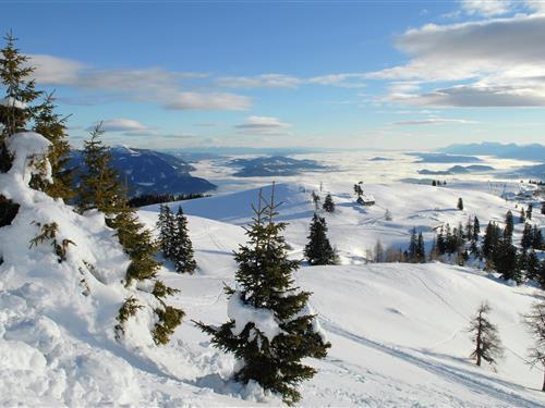 Sommerhus - 6 personer -  - 9141 - Eberndorf