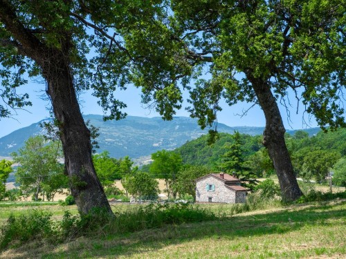 Sommerhus - 6 personer -  - Loc. Ca´Baldo - Montegrimano - 61010 - Montegrimano Terme Pu