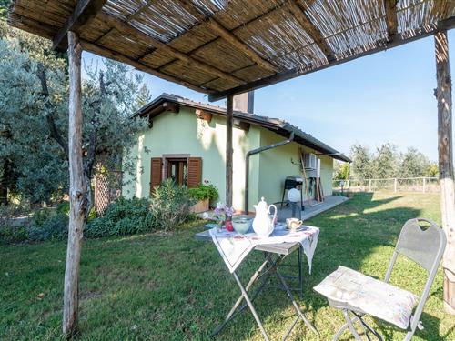 Semesterhus/Semesterlägenhet - 4 personer -  - 52100 - Arezzo