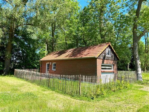 Semesterhus/Semesterlägenhet - 2 personer -  - Bisdamitz - 18551 - Lohme Ot Bisdamitz