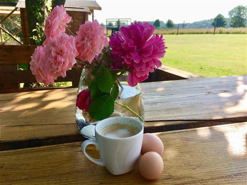 Bondegård - 5 personer -  - Ostseenahes Landhaus, 3 Komfort- Ferienwohnungen, Garten, Gr - 18230 - Biendorf