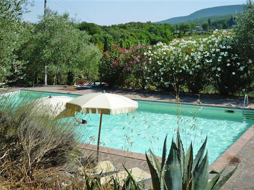 Ferielejlighed - 4 personer -  - 53018 - Sovicille