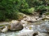 Billede 34