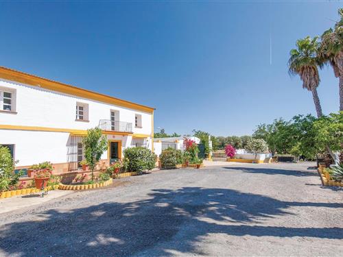 Holiday Home/Apartment - 12 persons -  - Finca Bagatela, Crta.N43, KM - San Juan Del Puerto - 21005 - Huelva