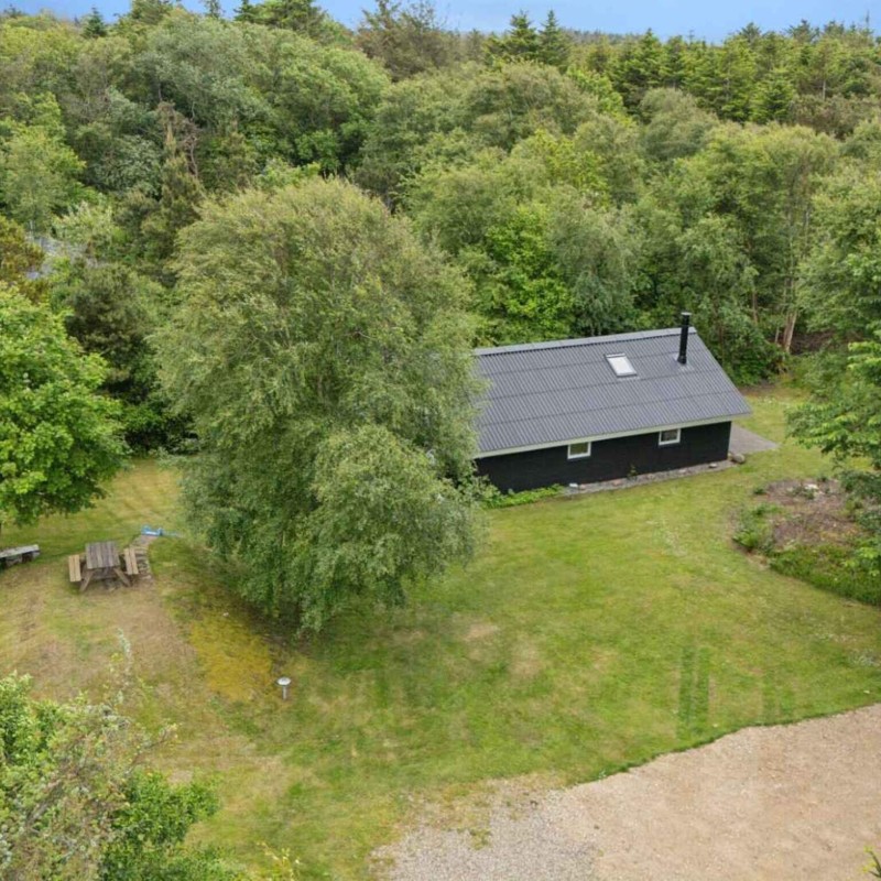 Ferienhaus - 6 Personen -  - Helligsøvej - Thisted - 7760 - Northern North Sea