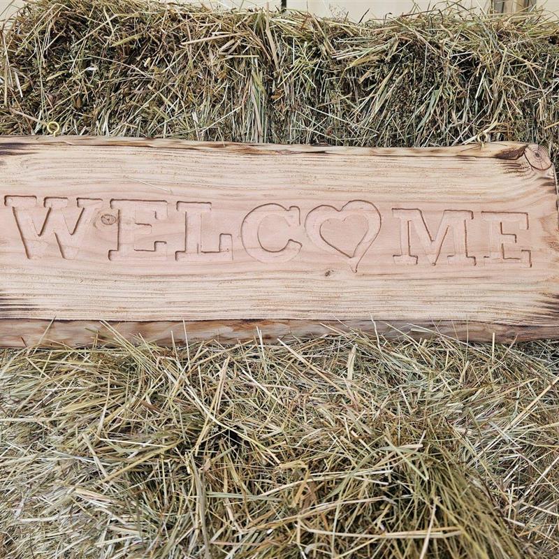 Ferielejlighed - 4 personer -  - Meisburger Straße - 54570 - Mürlenbach