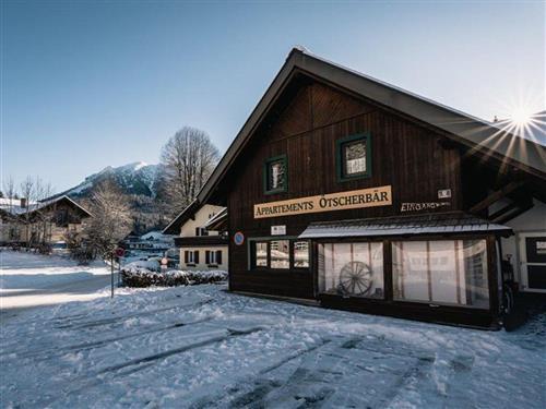 Holiday apartment - 6 persons -  - Teichwiese - 3295 - Lackenhof