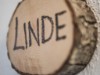 Billede 22