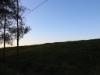 Billede 3