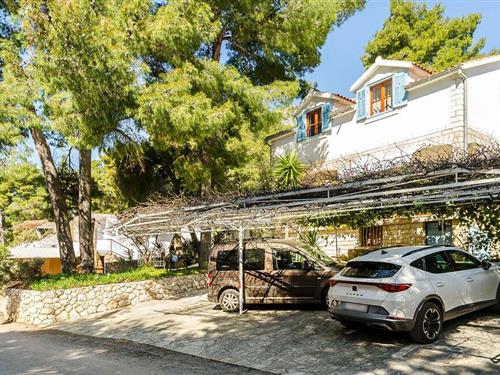 Semesterlägenhet - 2 personer -  - Ivan Dolac - Hvar - Jelsa - 21465 - Jelsa