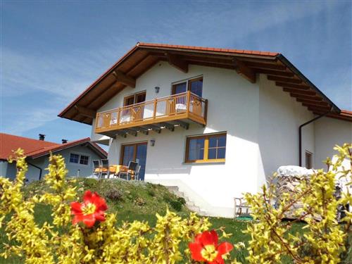 Ferienwohnung - 2 Personen -  - Bergstr. - 94518 - Spiegelau