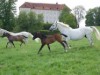 Bild 24