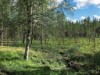 Bilde 16 - Ude